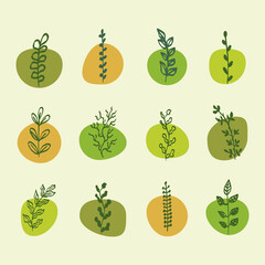 Set of leaves, great design for any purposes. Vector illustration isolated. Vector illustration art.Plant floral design. Spring, summer garden.