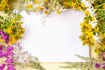 A frame of medicinal meadow and field herbs (ivan-tea, ivan-grass, kipreya, epilobium, chamomile, St. John's wort) and a notebook with a blank page for writing on a yellow background. Space for text.