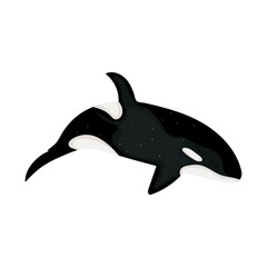 killer whale icon