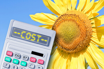 Price about cultivation of sunflowers - concept with calculator and cost text