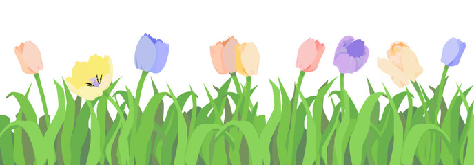 Tulips border with grass, Isolated vector