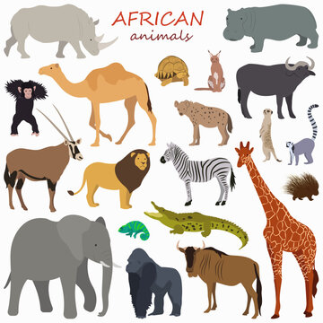 Collection of african animals in minimalism style.
