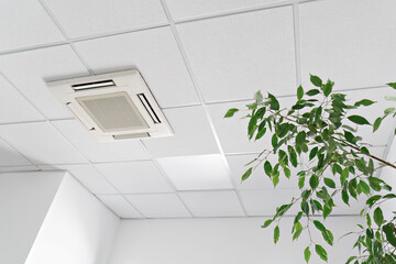 Fototapeta Cassette air conditioner on ceiling in modern light office or apartment with green ficus plant leaves. Indoor air quality and clean filters concept obraz