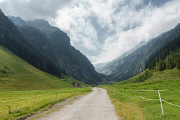 Mountainbike Weg durch eine Berglandschaft