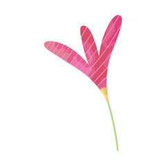 pink tropical flower