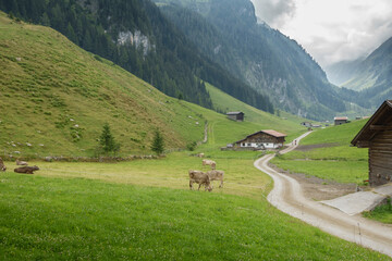 Fototapeta na wymiar Schotterweg durch eine Berglandschaft in Tirol