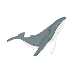cartoon whale icon