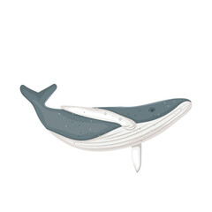 humpback whale icon
