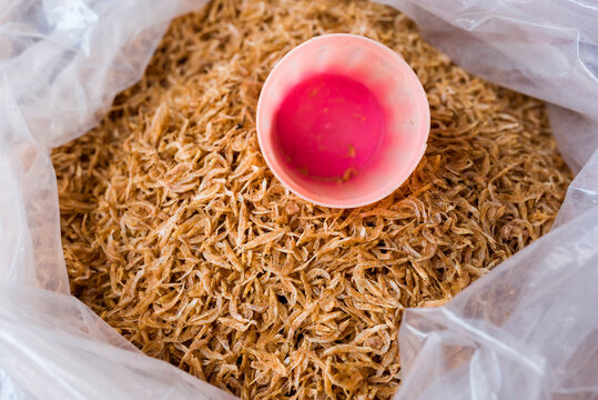 Dried krill, known locally as Alamang. For sale at a dried fish market.