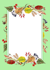 Fototapeta na wymiar Rectangular frame decorated with autumn leaves. Wild grape branch with berries. Colorful leaves, rowan bunch. Hand drawn watercolor illustration for wedding invitation, card, thanksgiving, banner.