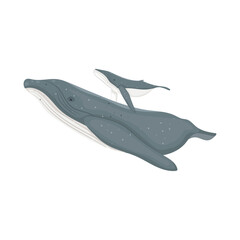 cartoon whales design