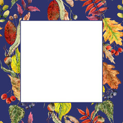 Autumn square frame colorful linden leaves, maple, bunches of rowan berries, wild grapes, wild rose. Hand drawn watercolor blue background, place for text. Design for cards, invitation, thanksgiving.