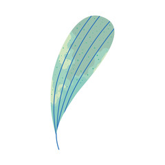 blue flower petal