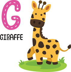 Illustration Isolated Animal Alphabet Letter G-Giraffe
