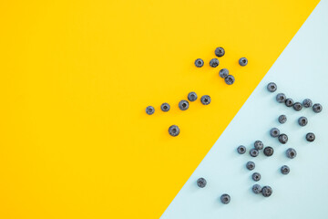 Blueberry isolated on blue yellow background.