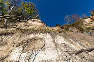 Kreidefelsen, Stubbenkammer im Nationalpark Jasmund, Rügen