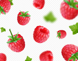Raspberry background. Realistic raspberry with green leaf falling on transparent background. 3D realistic vector.