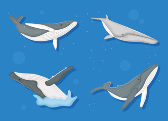 whales icon set