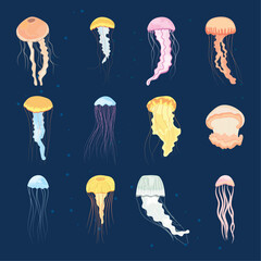 jellyfish icon set © Jeronimo Ramos