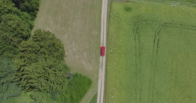 Cinema Drone shoot follows a red 67' construction year Buick Riviera, driving on a dirt road, right next to a forrest on a hot summer day.