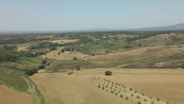Aerial images of Tuscany in Italy cultivated fields summer,  Drone aerial images of crop areas