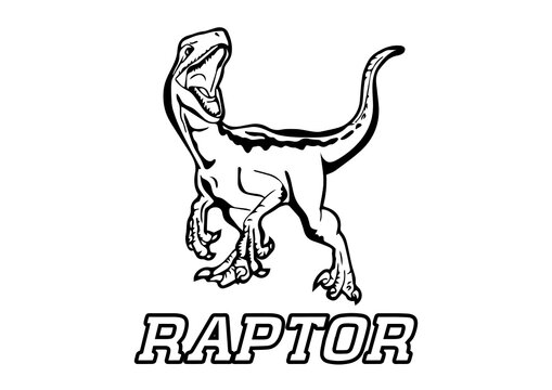 vector dinosaur, velociraptor