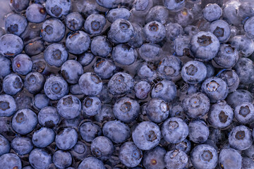 blueberries