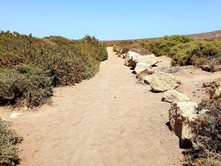 path in the desert