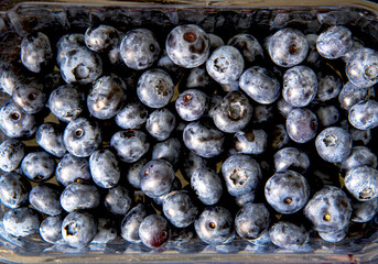 A lot of fresh blueberries, macro top view. Fresh blueberries