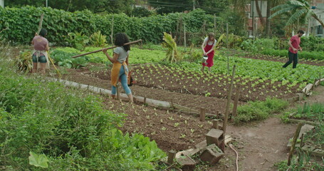 Group of community farmers cultivating food at urban small agriculture plantation. People treating the soil and walking inside farm. Diverse farmers planting vegetables and growing plants
