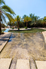 Huge pool of clear water in the heart of the desert - Einot Tzukim Nature Reserve. North of the Dead Sea