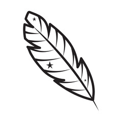 feather with stars