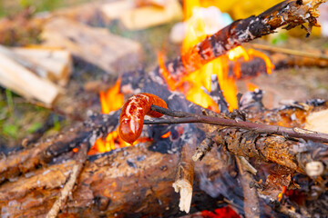 A quiet evening around the campfire