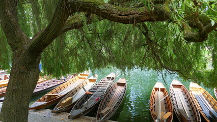 Stocherkähne in Tübingen auf dem Neckar