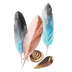 Watercolor composition of feathers and shells