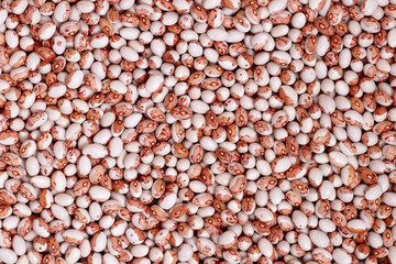 Red and white beans texture for background. Organic natural kidney bean background with copy space for text, top view. Close up haricot grains flat lay. Healthy food macro concept.