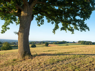 hills of south limburg in the netherlands under blue summer sky in the netherlands