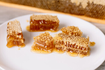 Pieces of sweet honeycomb on the white plate near the open honeycomb in wooden frame on the table