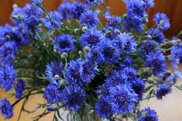 Bouquet of wild blue cornflowers in a vase, blurred floral background