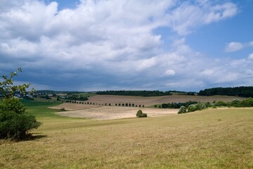 Obraz premium field of wheat with straw bales
