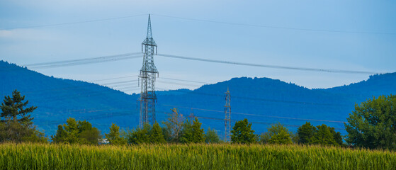 Landscape with corn field, power line, blue hills and sky in background