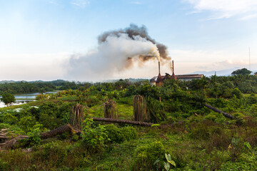 Palm oil industry in Sumatra Indonesia