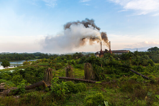 Palm oil industry in Sumatra Indonesia