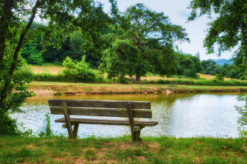 Fototapeta na wymiar Relaxing nature view of a park bench with trees, grass, and a lake in the background. A forest and field landscape in the countryside. Natural outdoor setting perfect for a summers day outside.