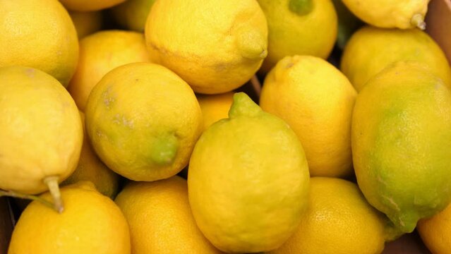 close up on fresh and yellow lemons at the market