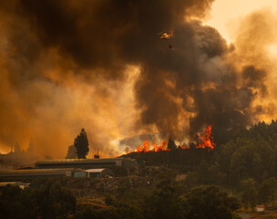 Firefighter Helicopter fighting against a Forest Fire near to a Greenhouse during Day in Povoa de...