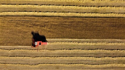 Koszenie Zboża, Kombajn, Żniwa, Harvest, Polska, Poland, Dron, Drone © .Waajchaa