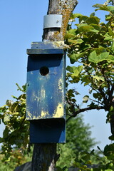 Blue Birdhouse