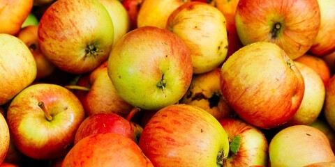 The apple is traditionally used by Latvians in multiple uses, from cooking to decoration. Riga, Latvia, Baltic states, Europe
