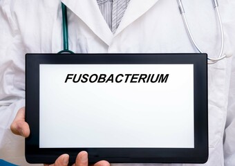 Fusobacterium.  Doctor with rare or orphan disease text on tablet screen Fusobacterium